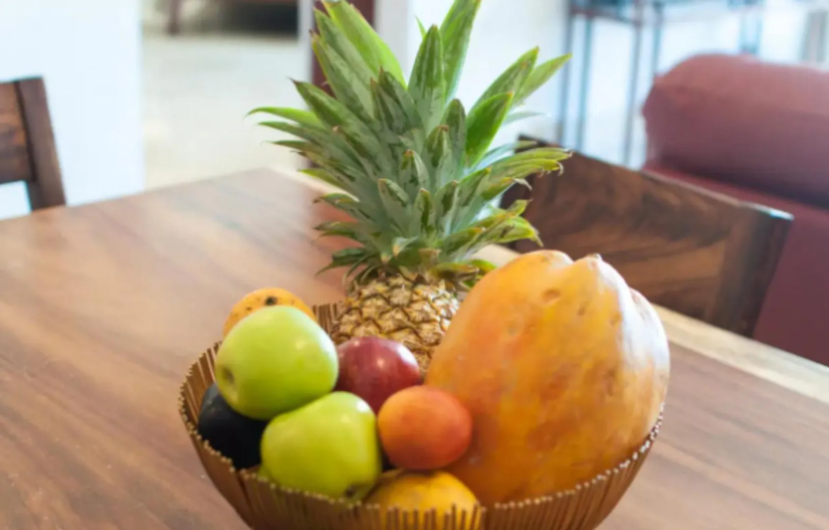 Luna Encantada 신데 델 카르멘